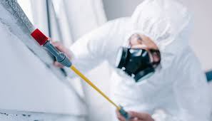 Best Pest Prevention Services  in Allentown, NJ